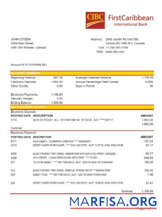 Blank Canada CIBC bank statement excel example